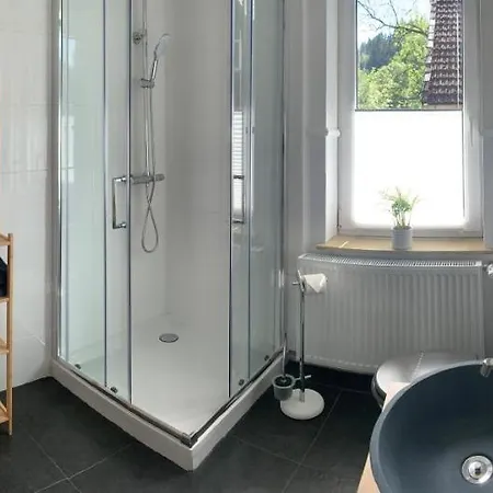 Ferienwohnung An Der Oker Altenau  Extérieur photo